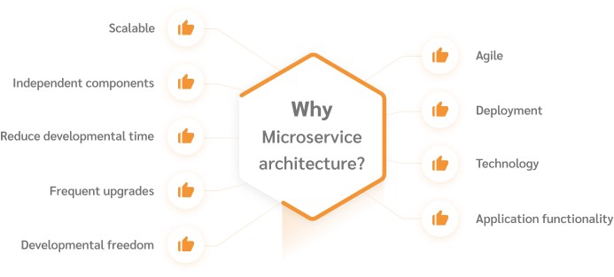 Why Microservice architecture?