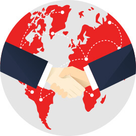 専用チームのオプション